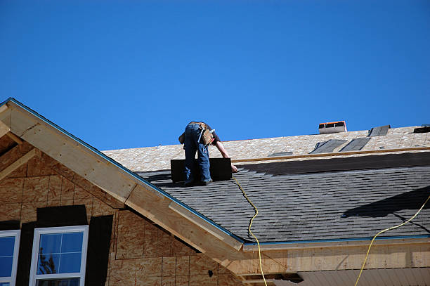 Best Roof Ventilation Installation  in Lees Summit, MO