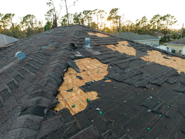 Best Asphalt Shingle Roofing  in Lees Summit, MO